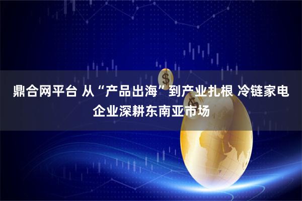 鼎合网平台 从“产品出海”到产业扎根 冷链家电企业深耕东南亚市场