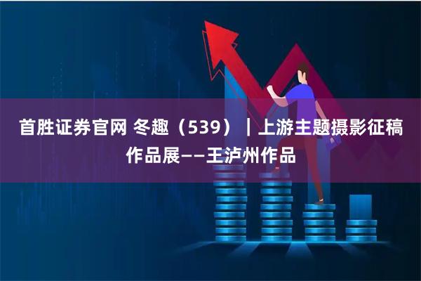 首胜证券官网 冬趣（539）｜上游主题摄影征稿作品展——王泸州作品