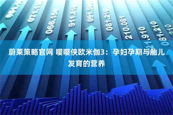 蔚莱策略官网 嘤嘤侠欧米伽3：孕妇孕期与胎儿发育的营养